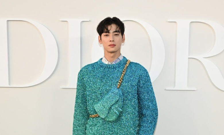 Cha Eunwoo Dior thumbnail