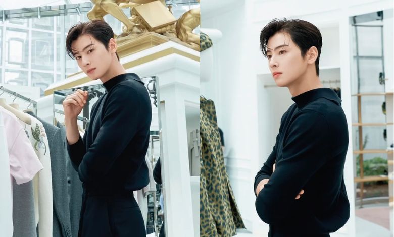 cha eun woo dior thumbnail