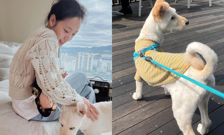 Kim Go-eun thumbnail