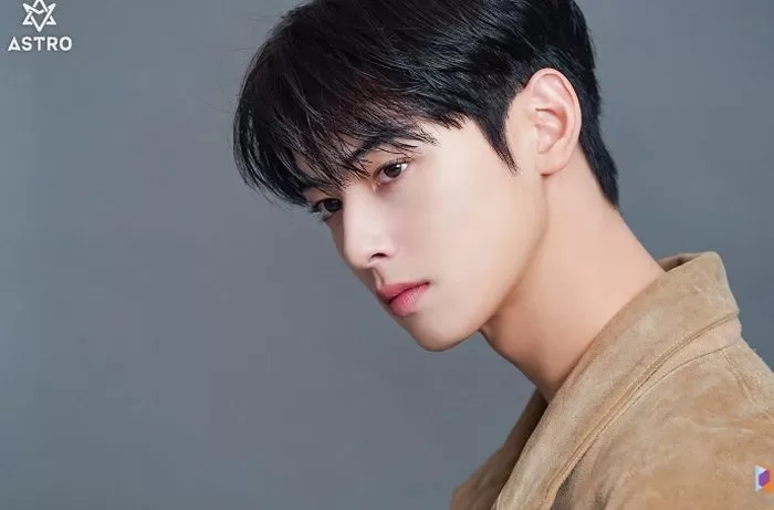 Cha Eun-woo