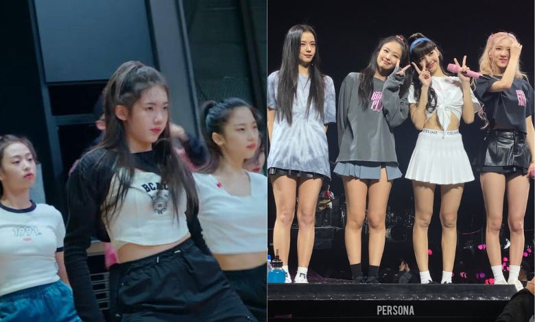 babymonster-blackpink