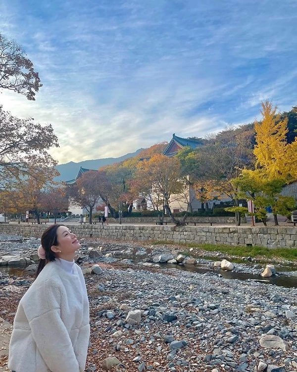 lee da in
