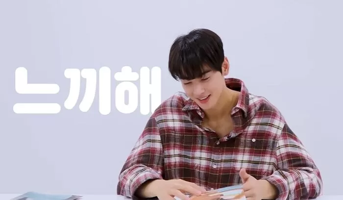 Cha Eun-woo