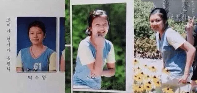 Red velvet Joy