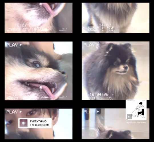 BTS V