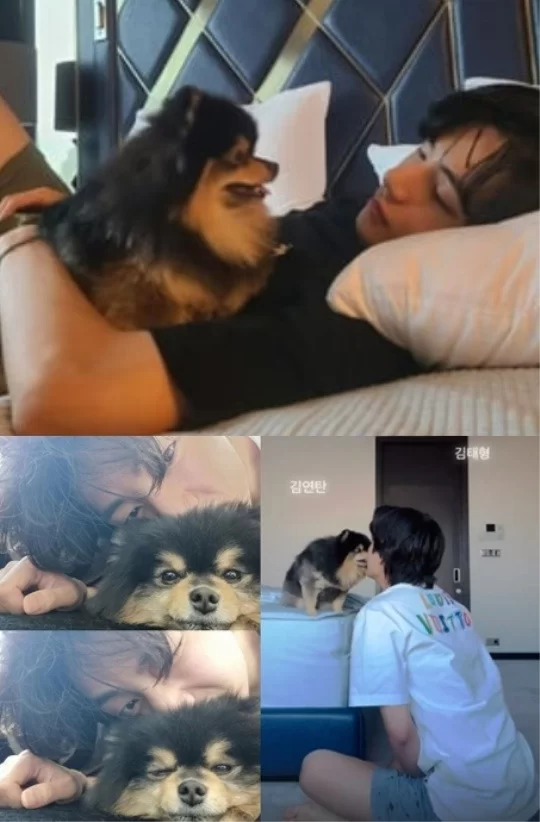 BTS V