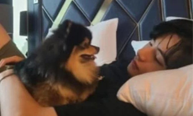 BTS V thumbnail