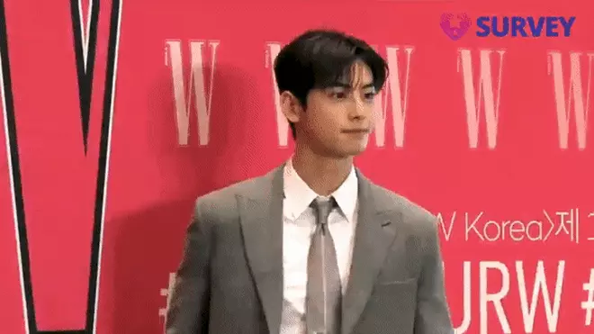 cha eun woo