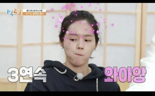 Han Ga In