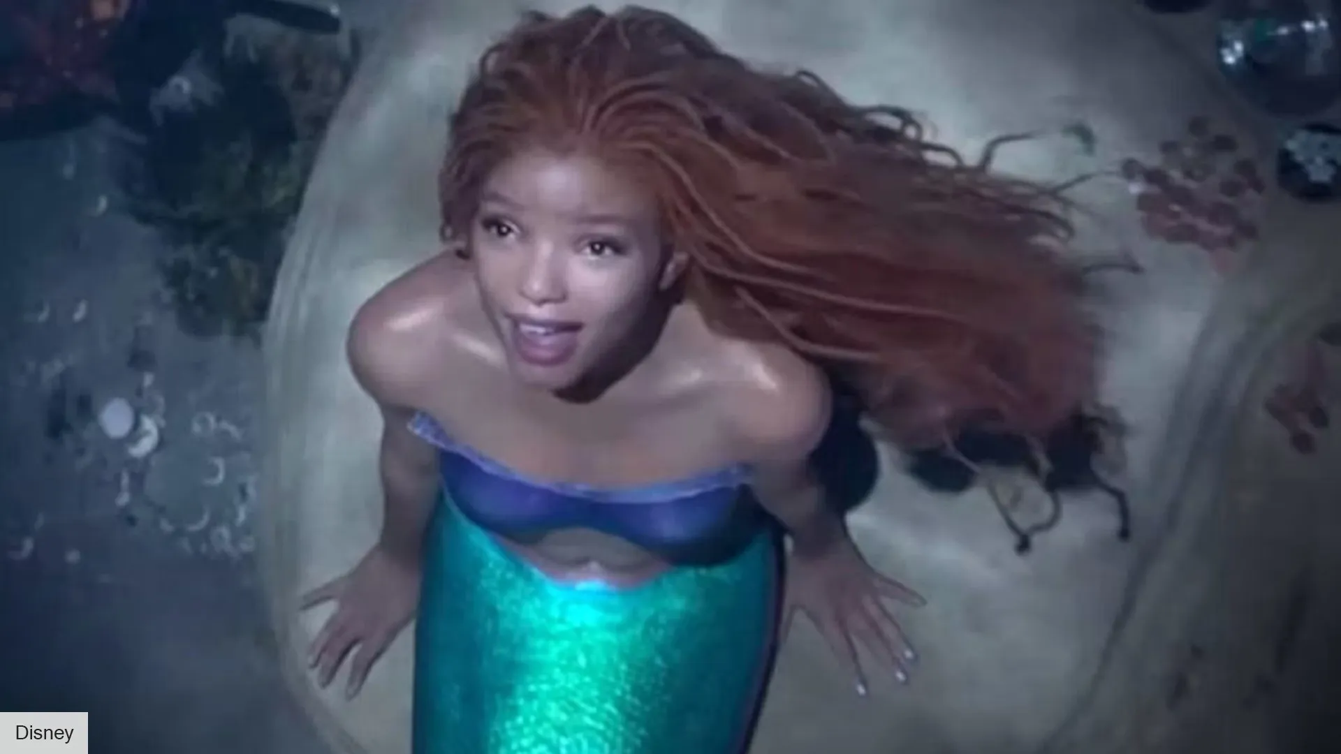 the little mermaid
