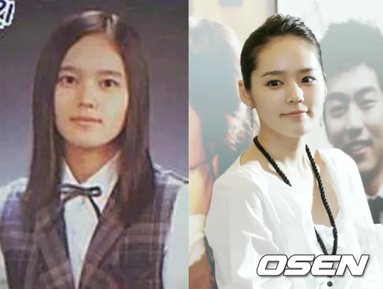 Han Ga-in