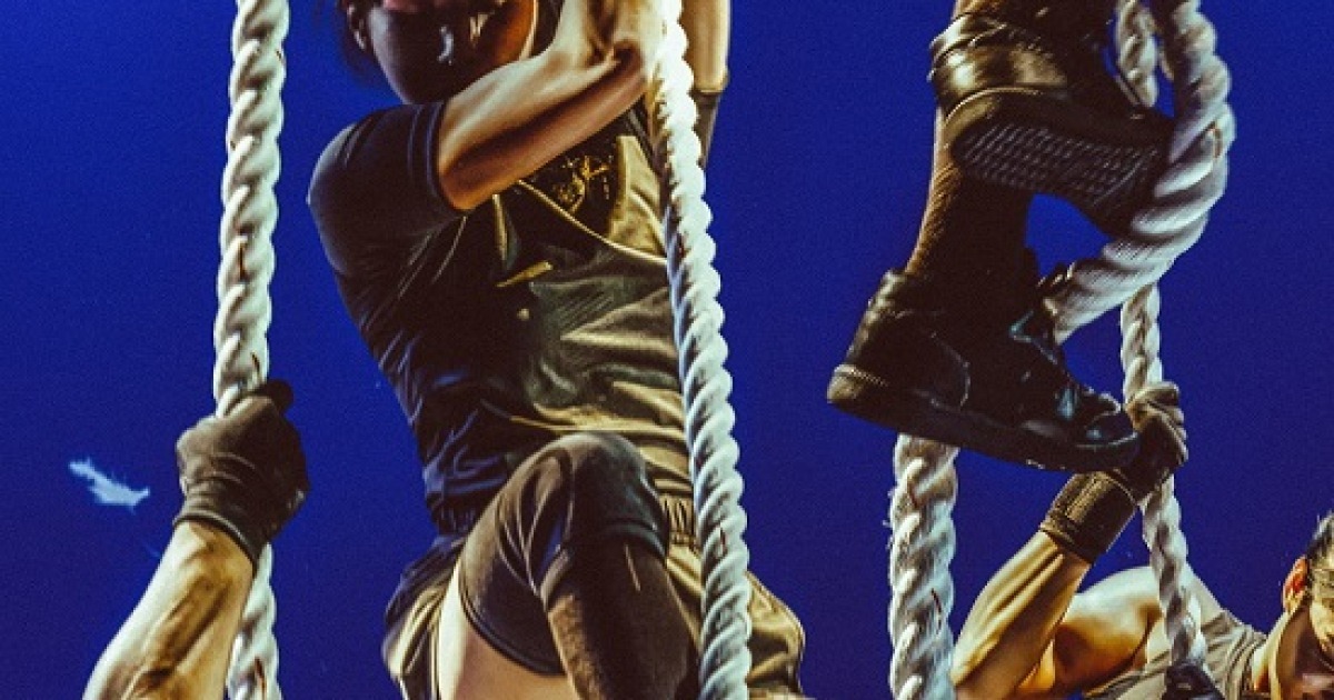 physical-100 thumbnail