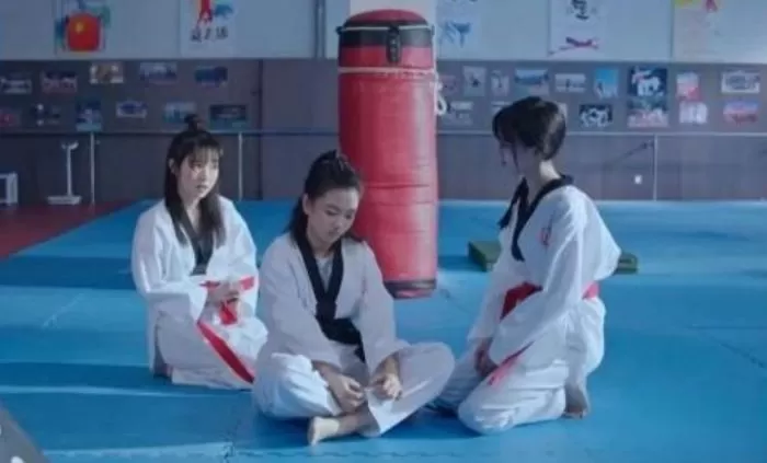 Taekwondo