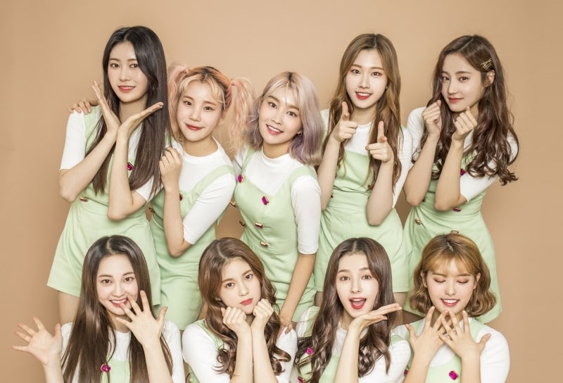 momoland