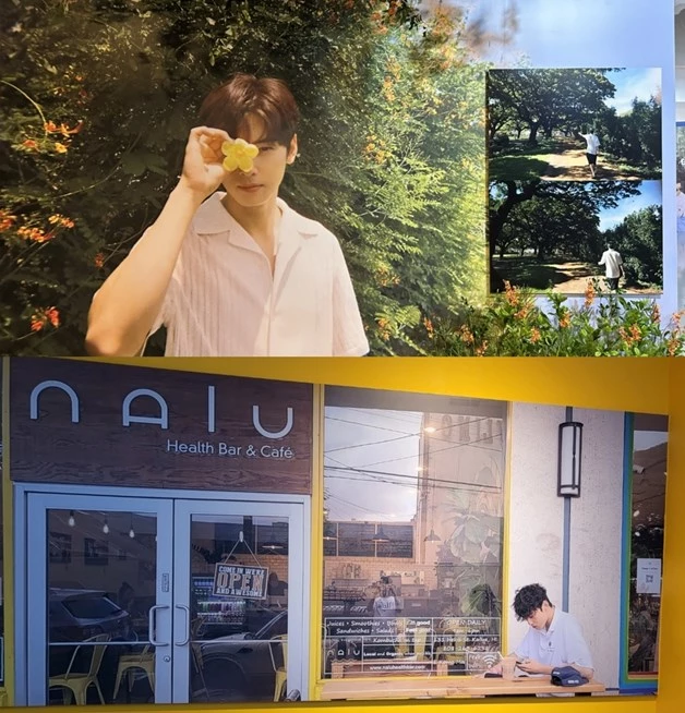 cha eun woo