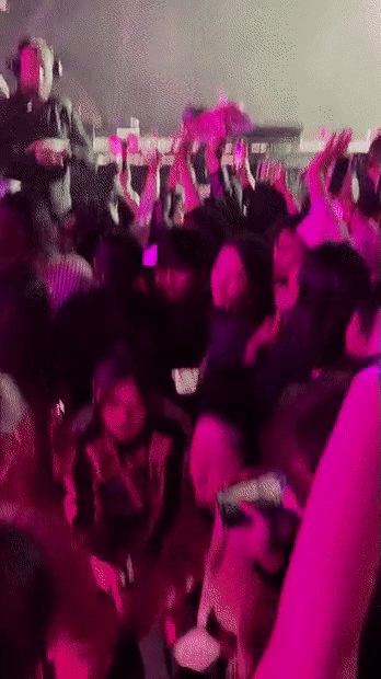 blackpink rose concert
