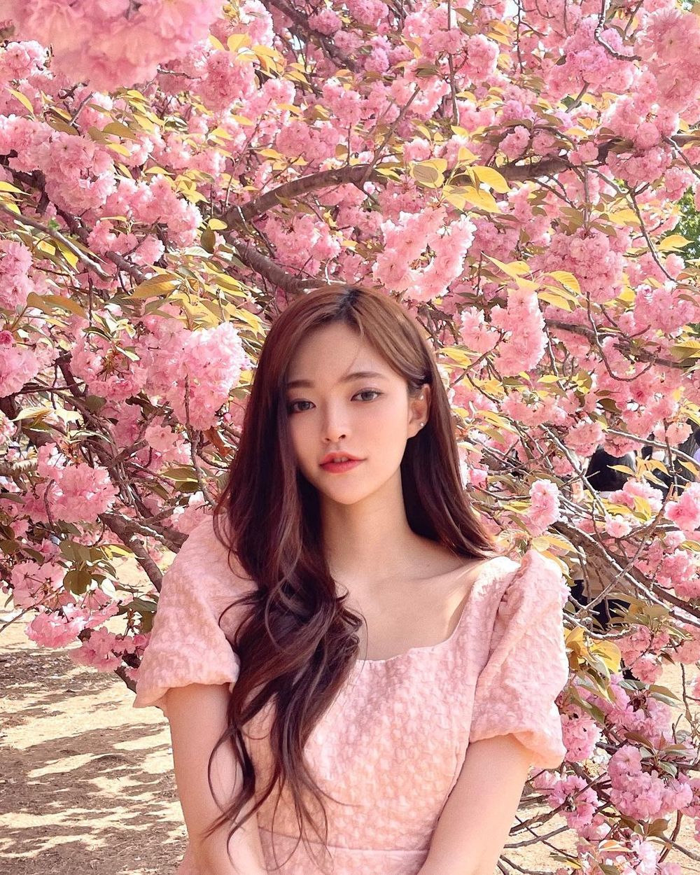 somyi