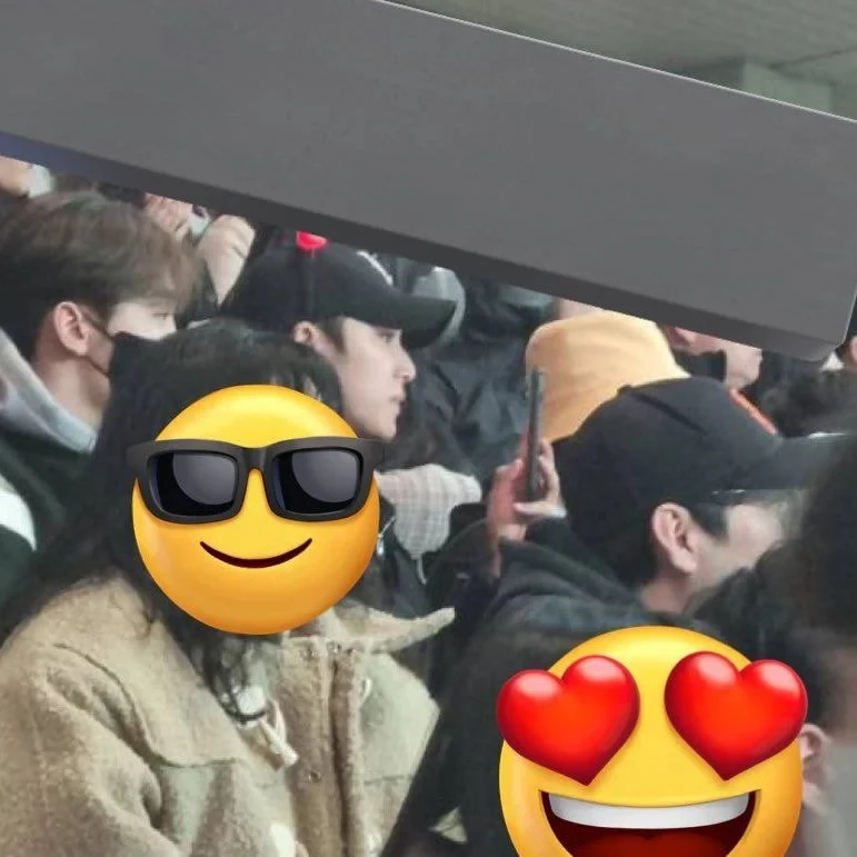 mingyu-seung-hwan