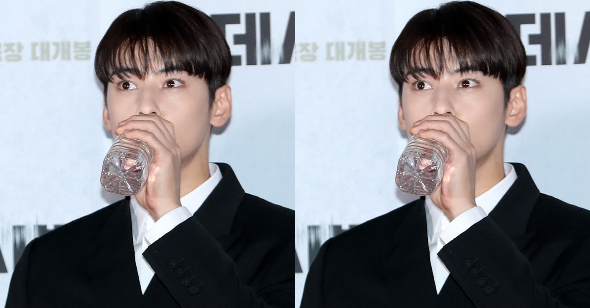 cha eun woo thumbnail