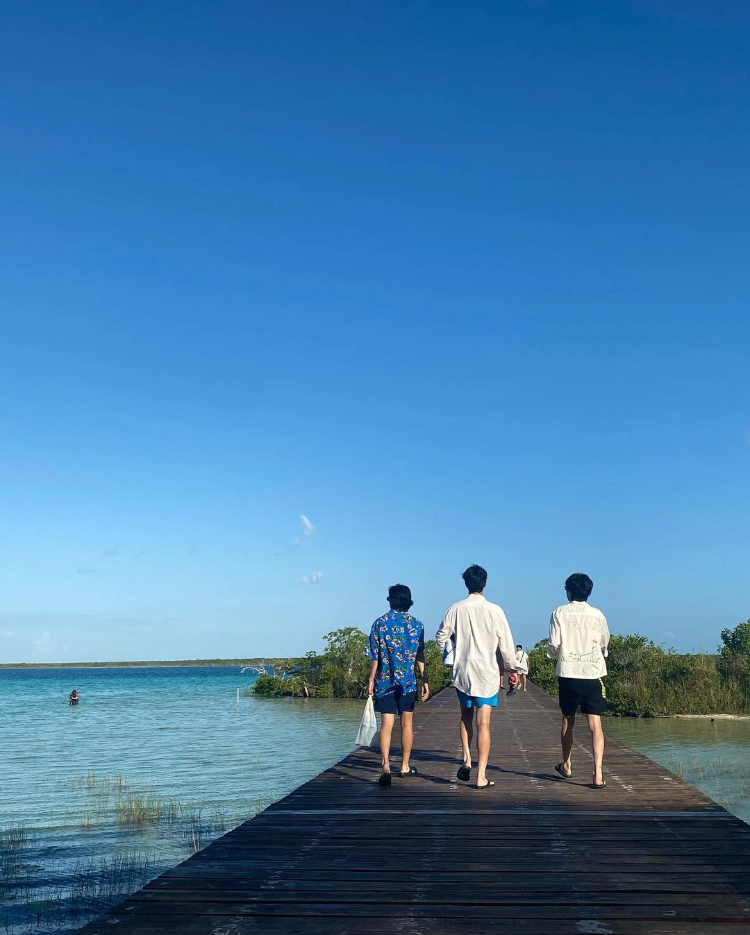 V Park Seo Joon Choi Woo Sik