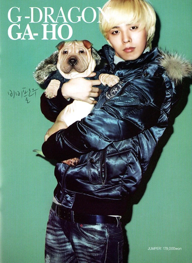 g-dragon