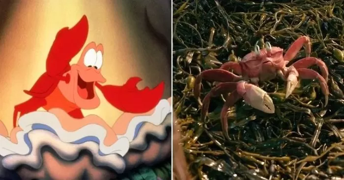 the-little-mermaid