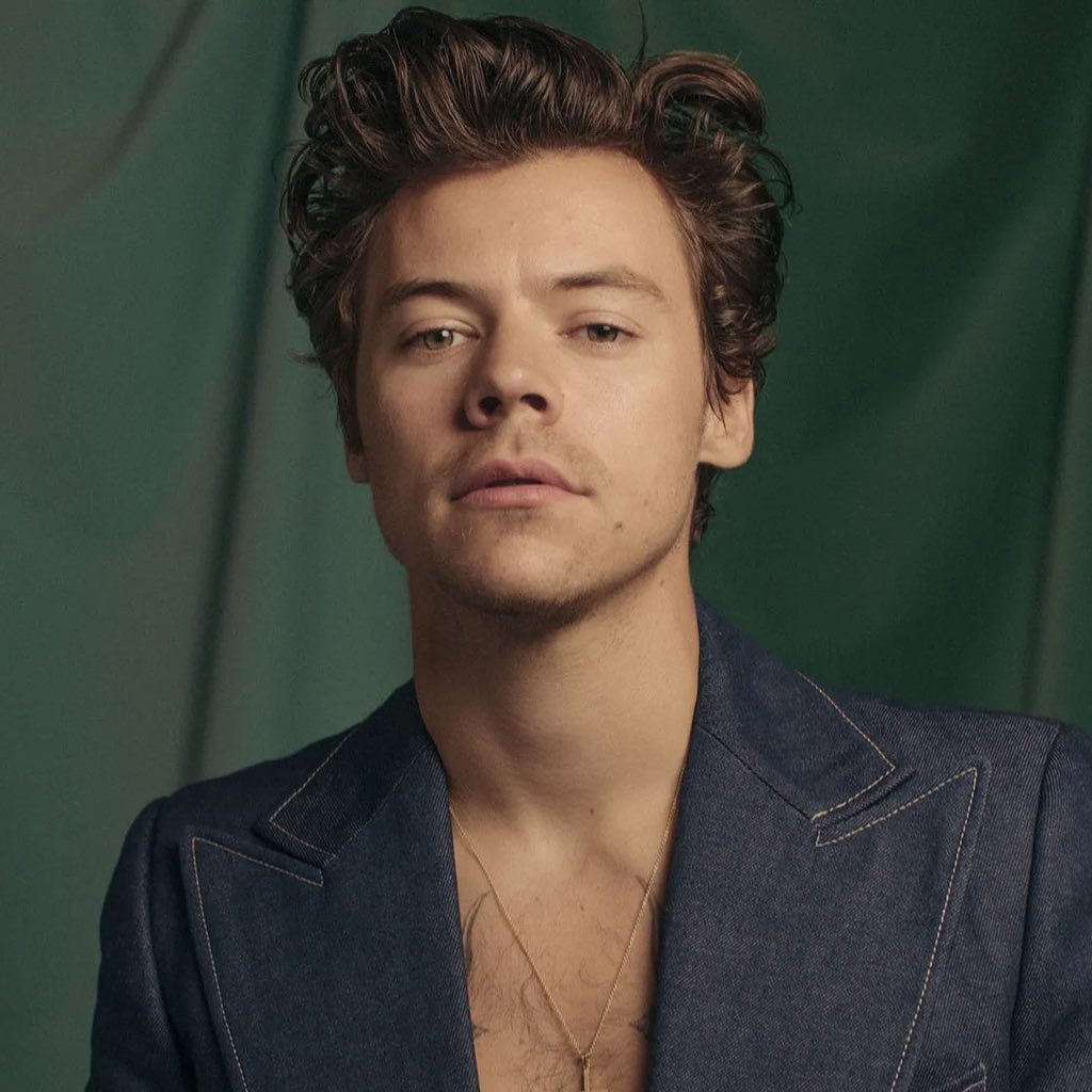 harry styles
