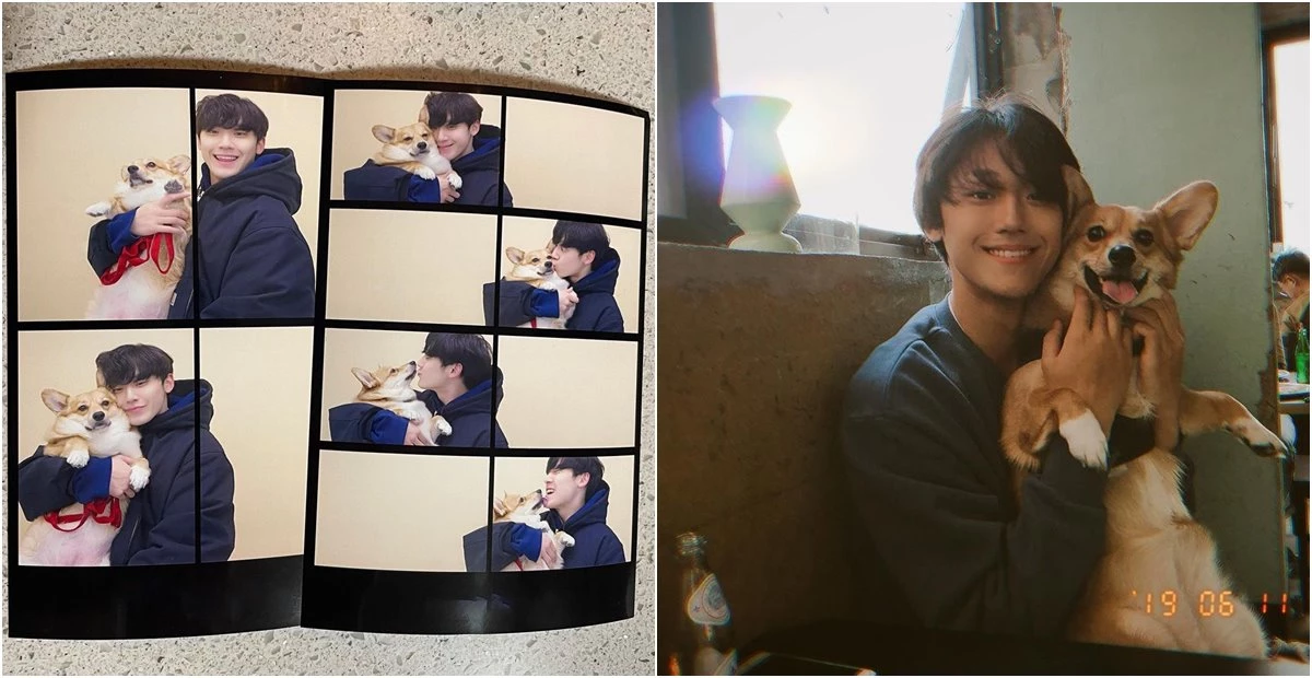 lee do hyun