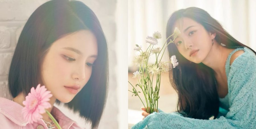 Alice-Doha-Yeonje
