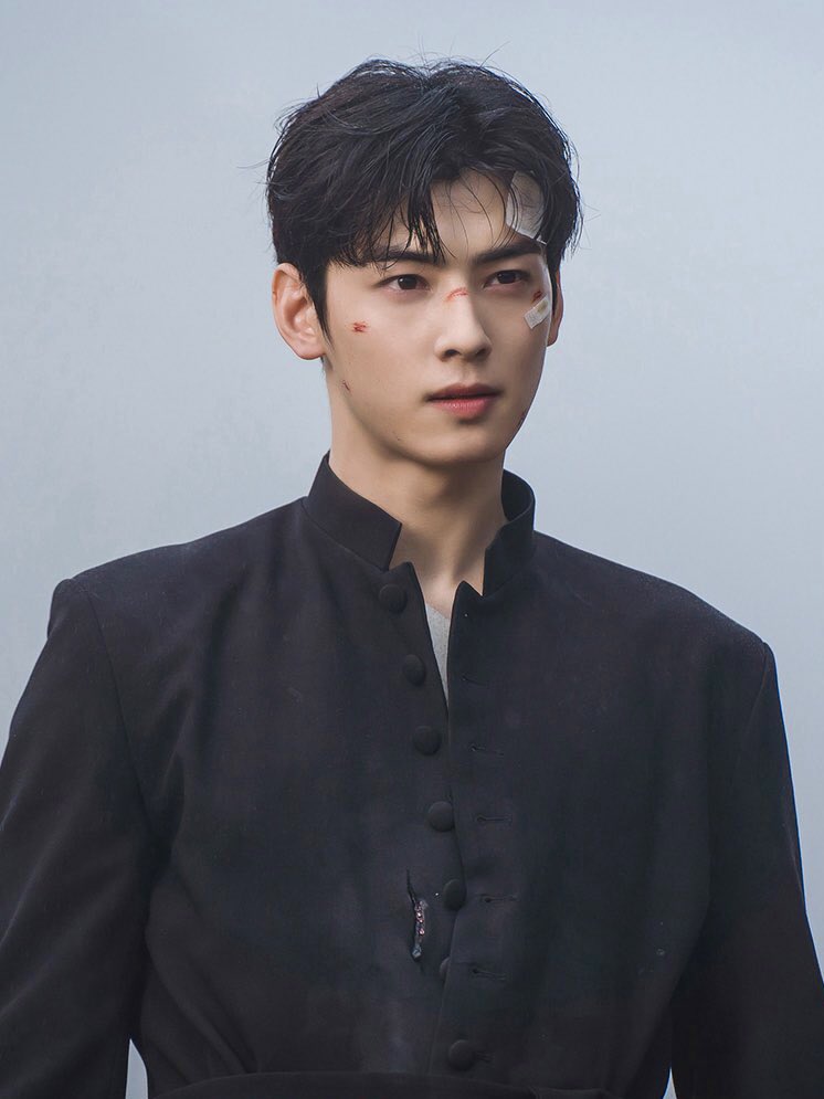 cha eun woo