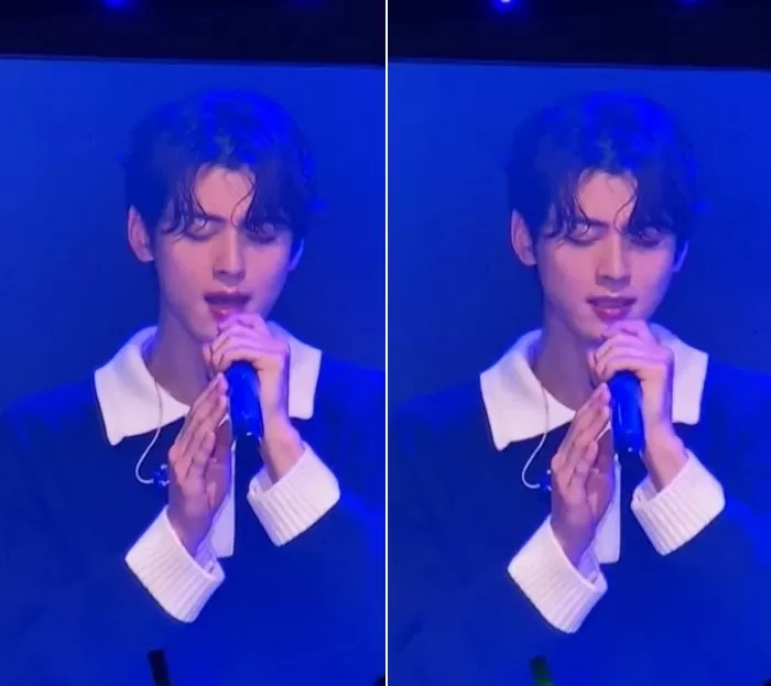 cha-eun-woo