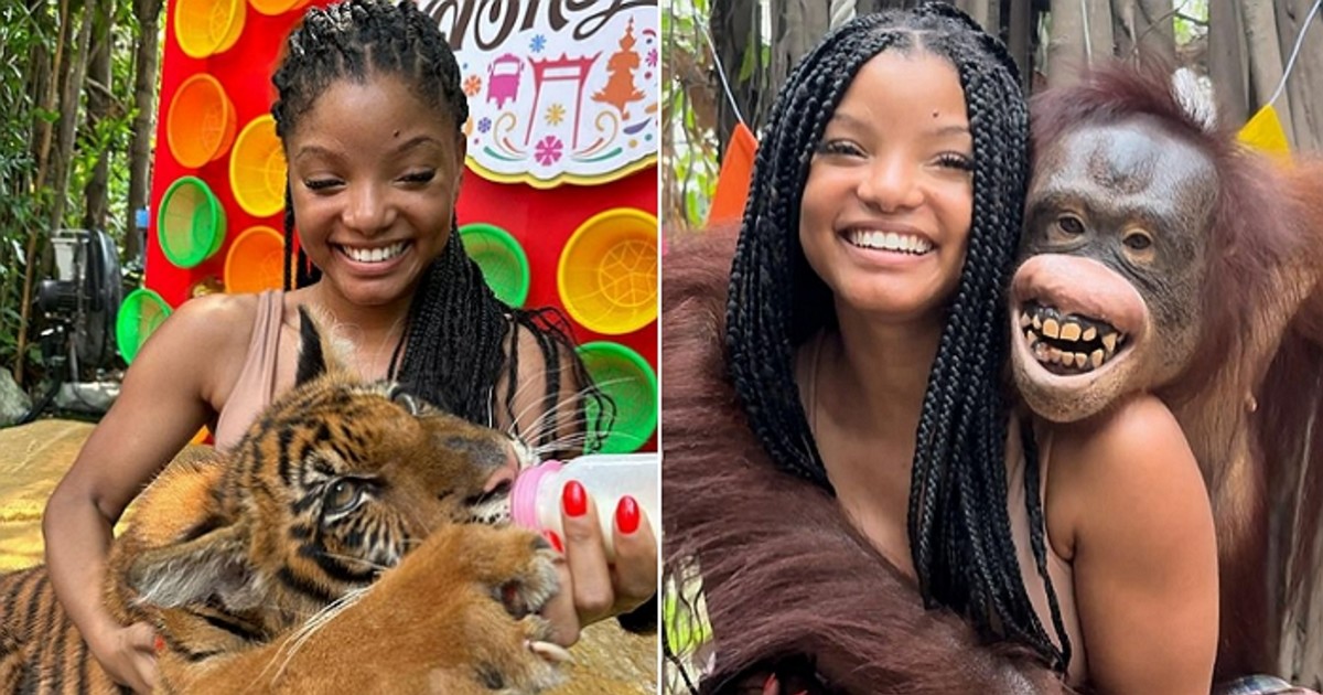 halle-bailey