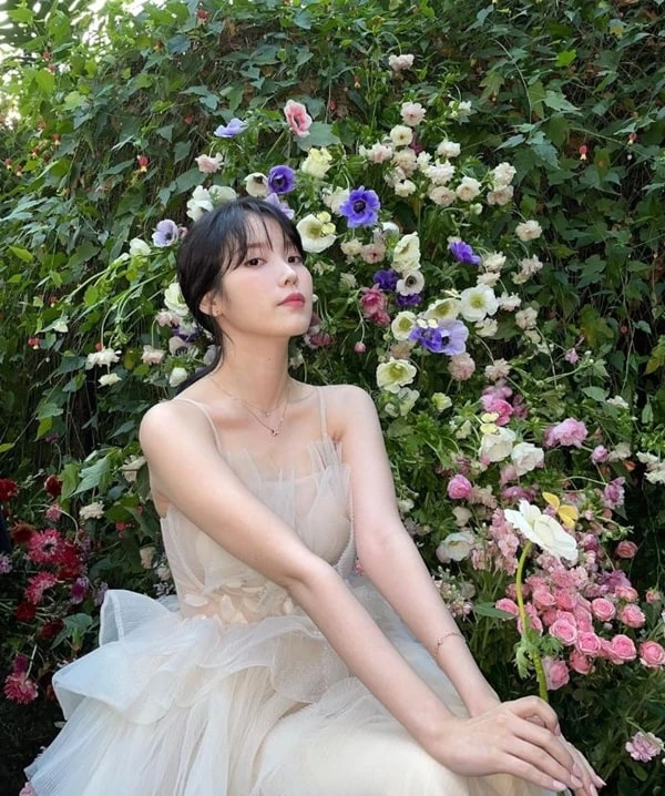 iu