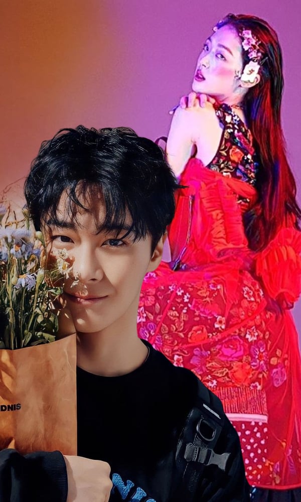 sulli-moon-bin
