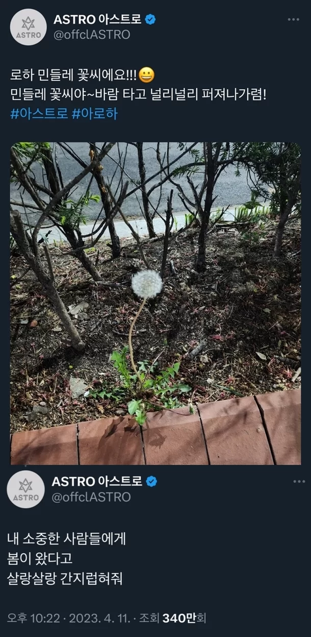 moon-bin