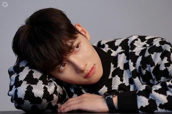 Ji Chang-wook