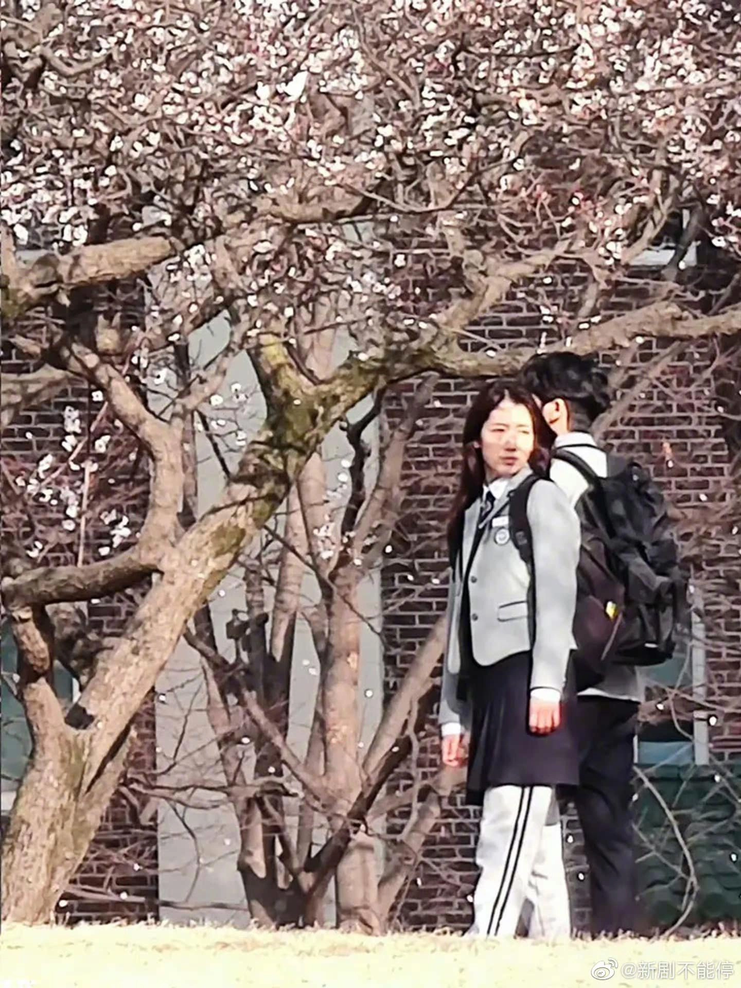 Park Shin-hye