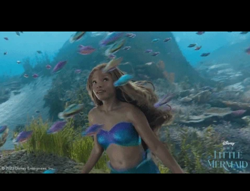 ariel