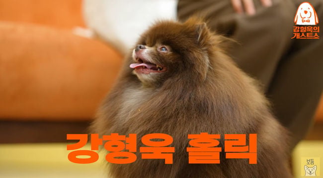 pet