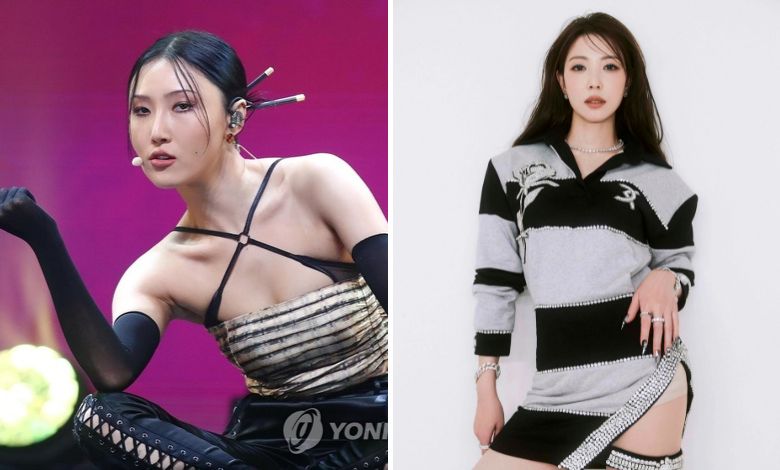 hwasa boa
