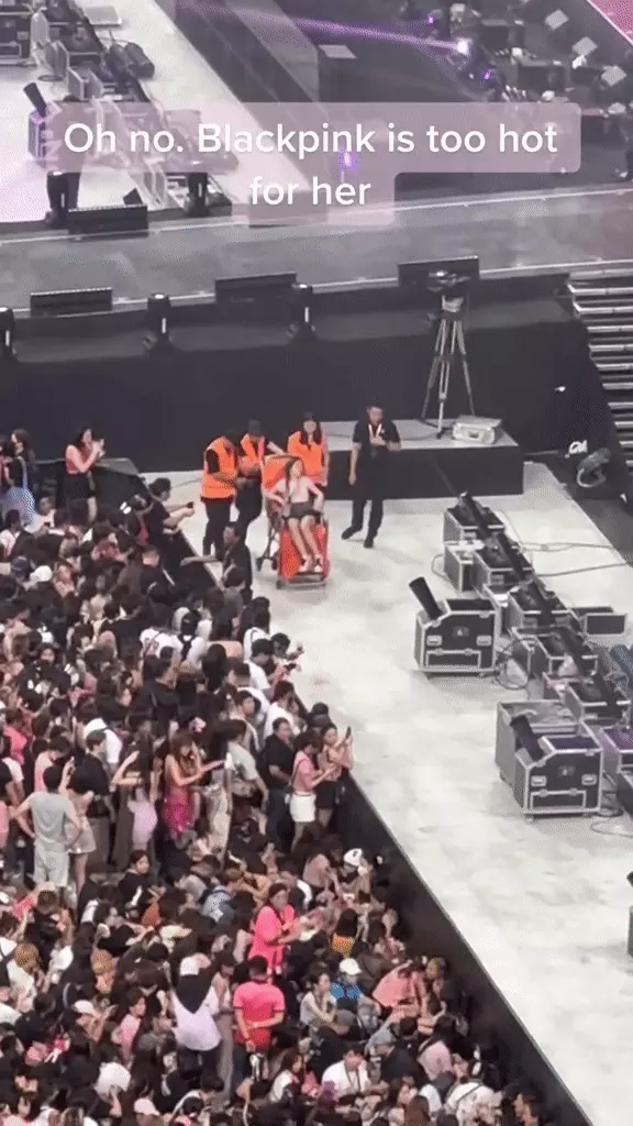fan