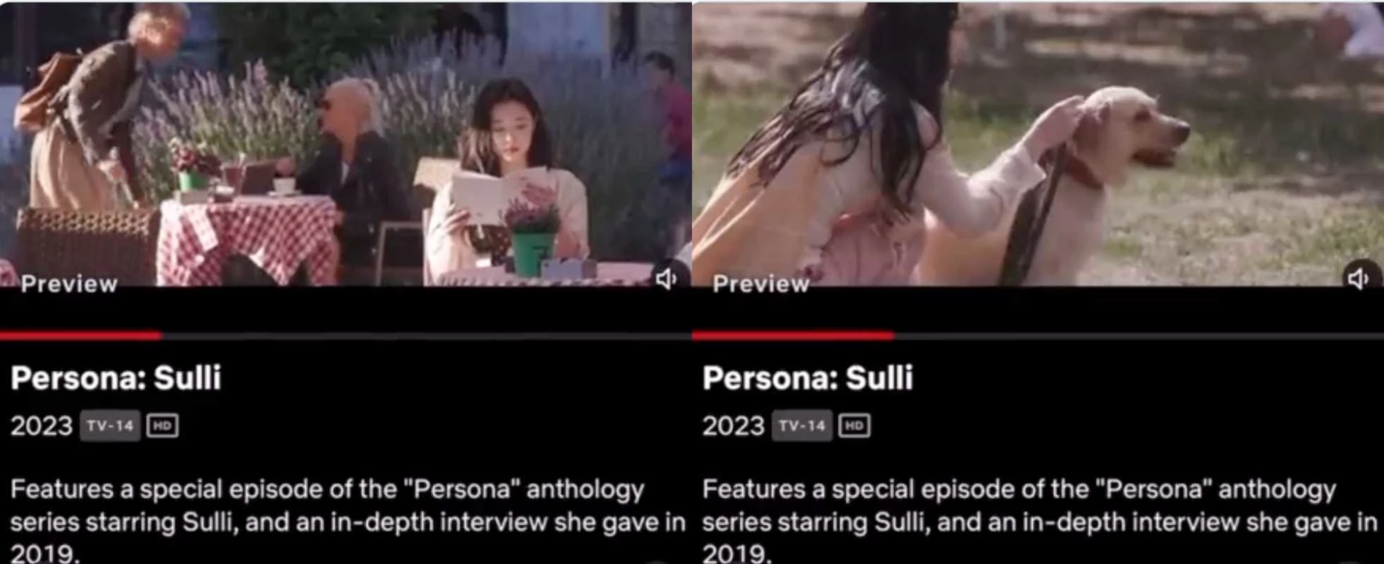 netflix Persona: Sulli