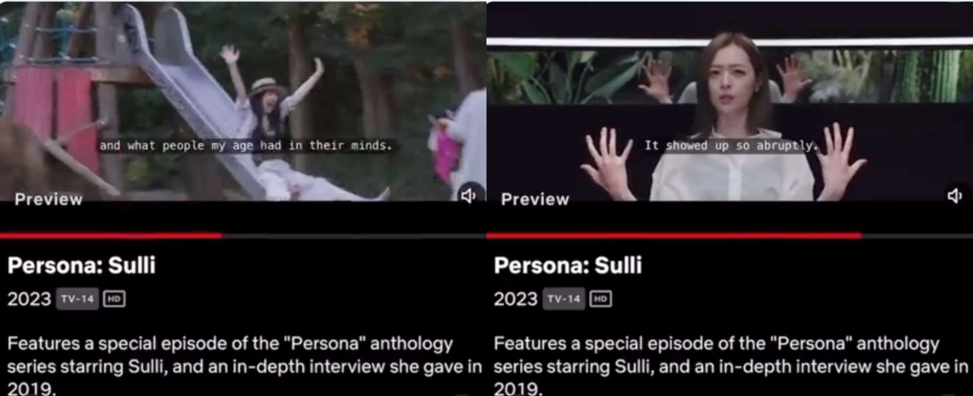 netflix Persona: Sulli
