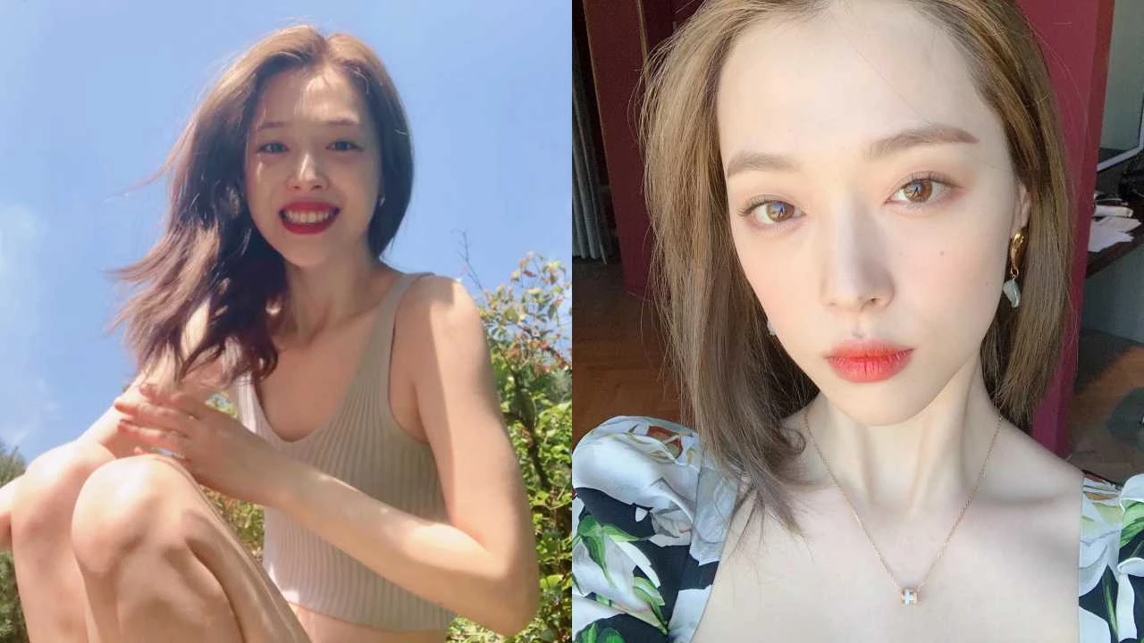netflix Persona: Sulli
