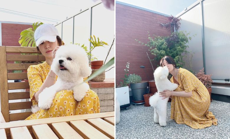 song hye kyo