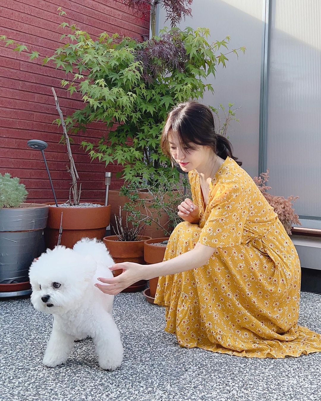 song hye kyo