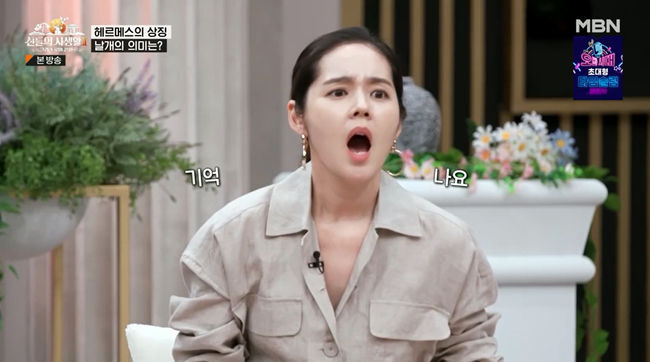 Han Ga In