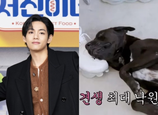 bts-v-and-dog-in-seojin