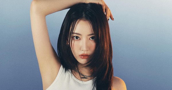 sakura-thumbnail