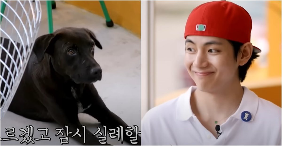 bts-v-and-dog-in-seojin